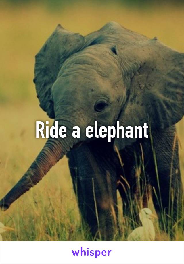 Ride a elephant