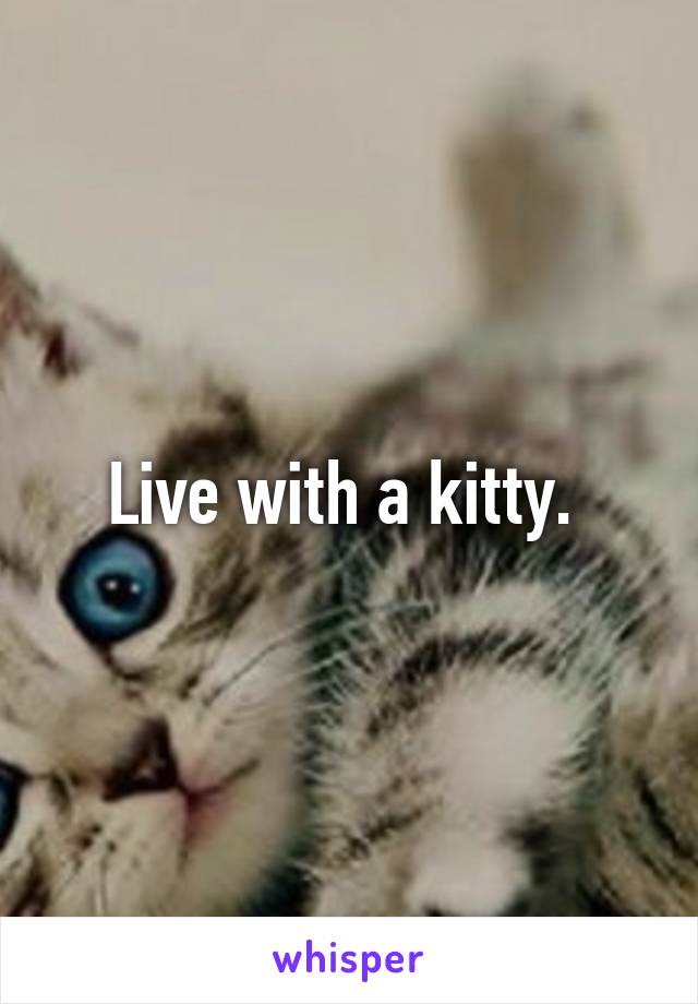 Live with a kitty. 