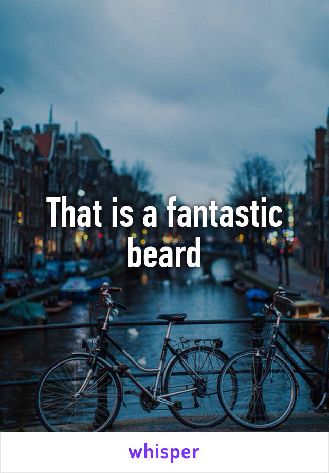 That is a fantastic beard