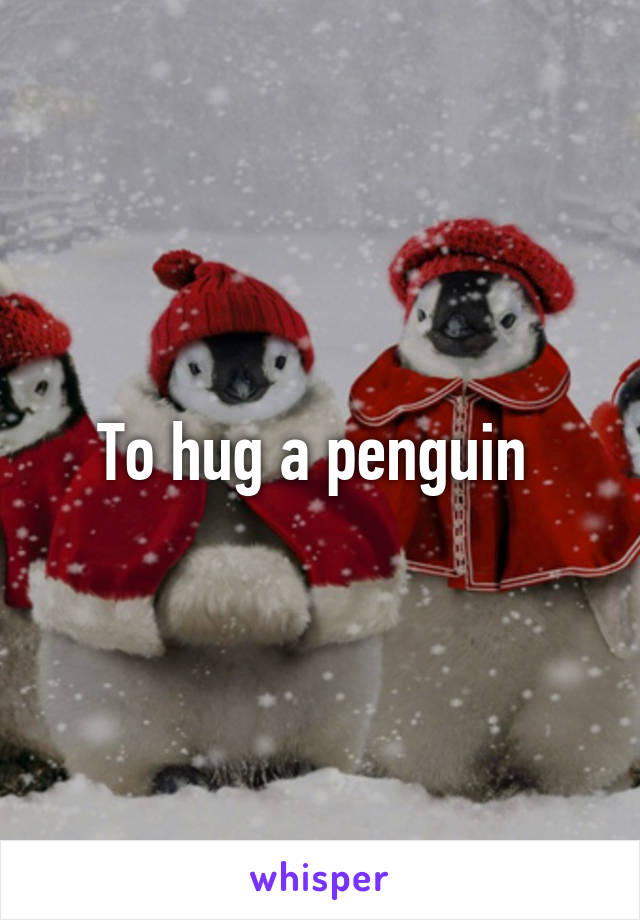 To hug a penguin 