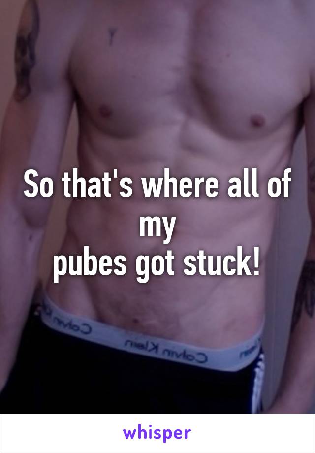 So that's where all of my
pubes got stuck!