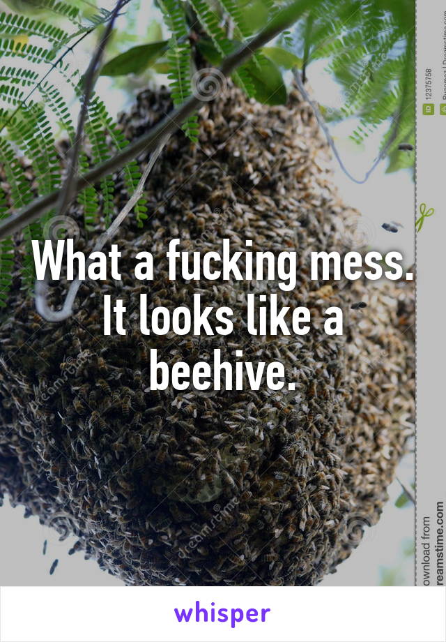 What a fucking mess.
It looks like a beehive.