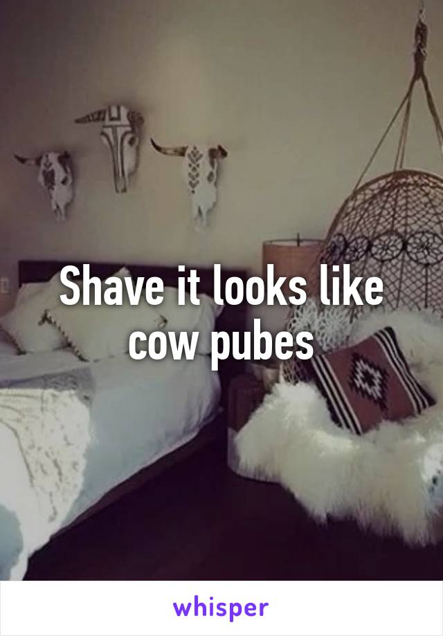 Shave it looks like cow pubes