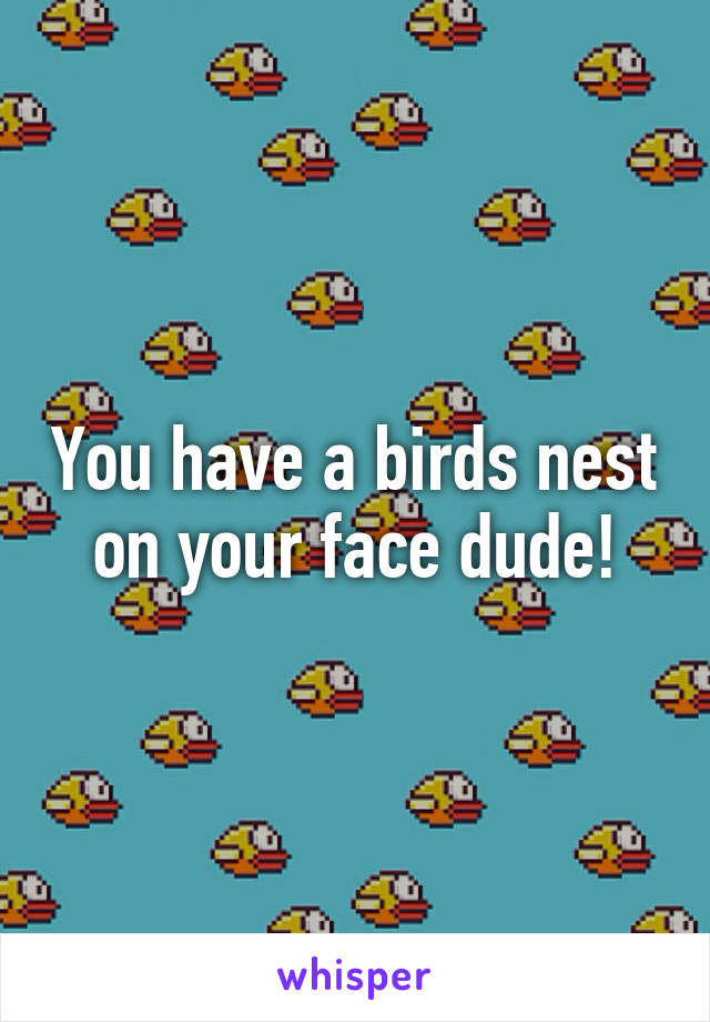 You have a birds nest on your face dude!