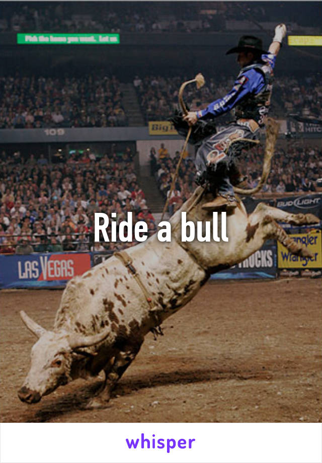 Ride a bull