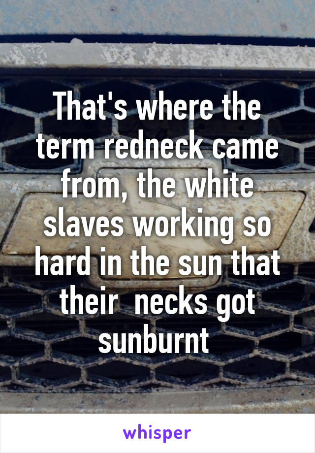 That's where the term redneck came from, the white slaves working so hard in the sun that their  necks got sunburnt 