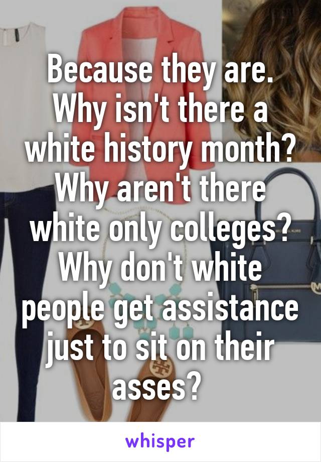 Because they are. Why isn't there a white history month? Why aren't there white only colleges? Why don't white people get assistance just to sit on their asses? 