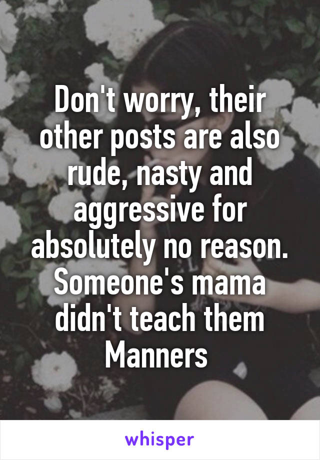 Don't worry, their other posts are also rude, nasty and aggressive for absolutely no reason.
Someone's mama didn't teach them Manners 