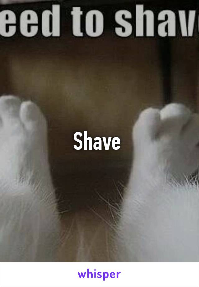 Shave 