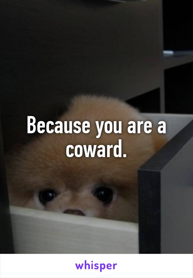 Because you are a coward.