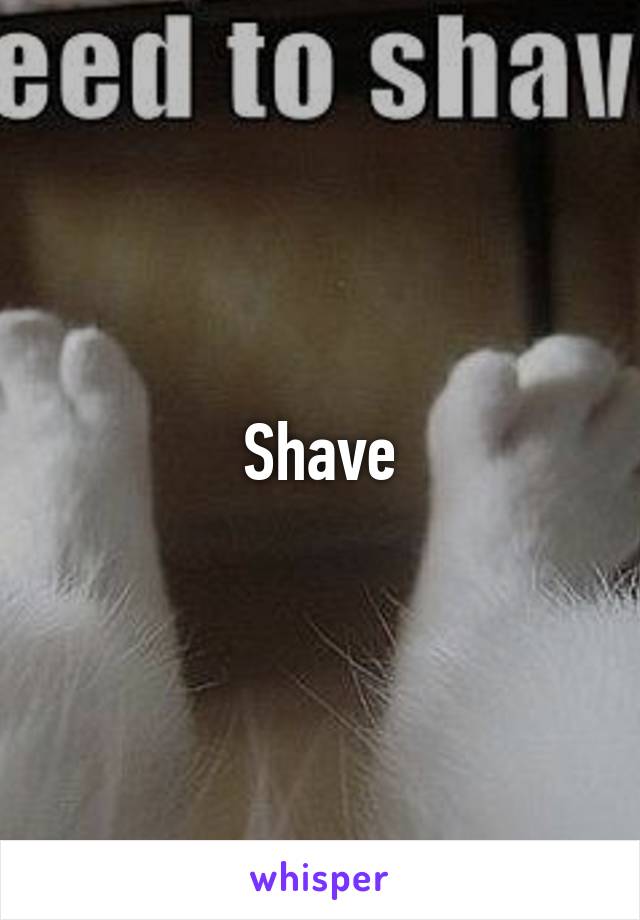 Shave