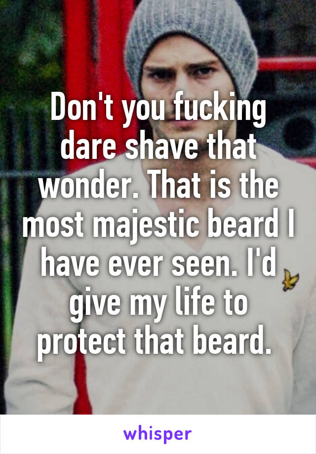 Don't you fucking dare shave that wonder. That is the most majestic beard I have ever seen. I'd give my life to protect that beard. 