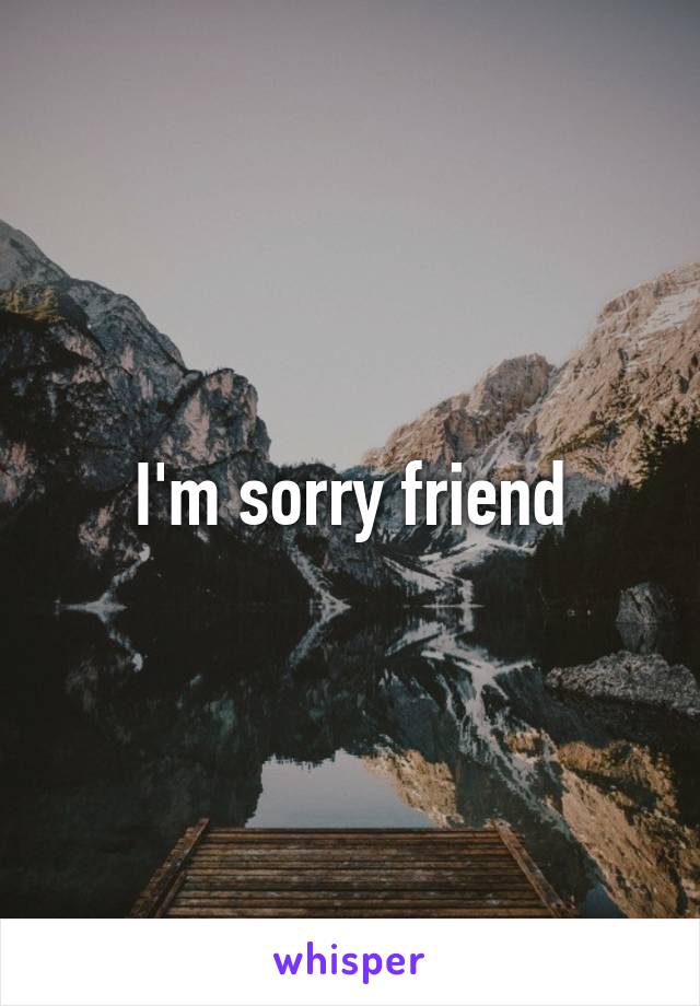 I'm sorry friend