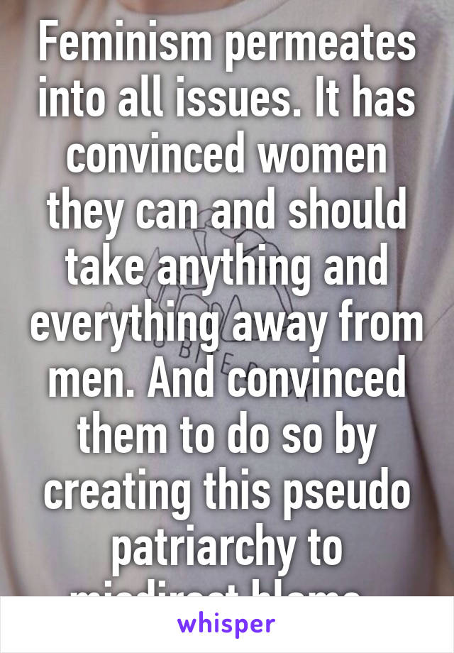 Feminism permeates into all issues. It has convinced women they can and should take anything and everything away from men. And convinced them to do so by creating this pseudo patriarchy to misdirect blame. 