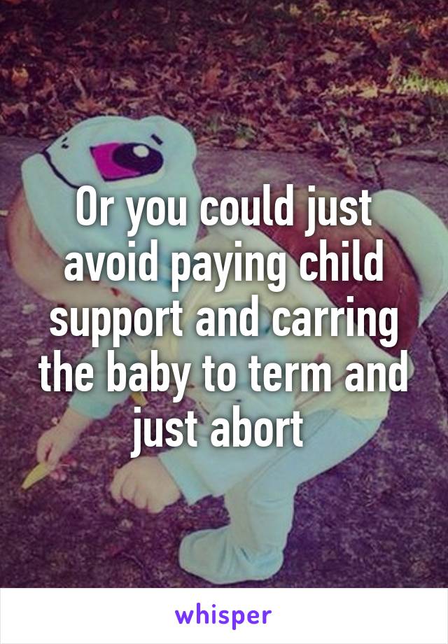 Or you could just avoid paying child support and carring the baby to term and just abort 