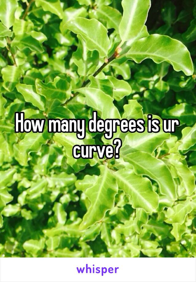 How many degrees is ur curve? 