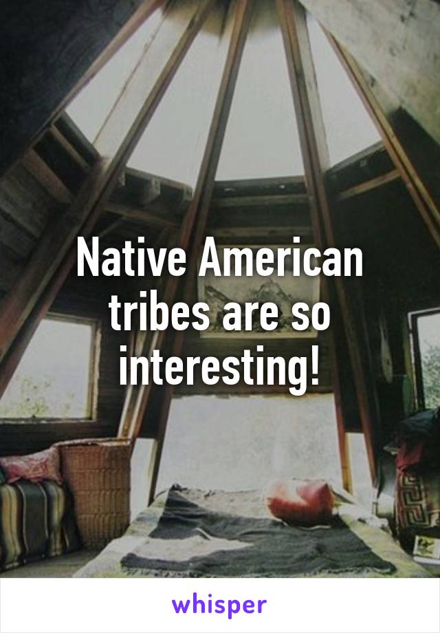 Native American tribes are so interesting!