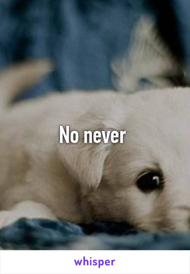 No never 