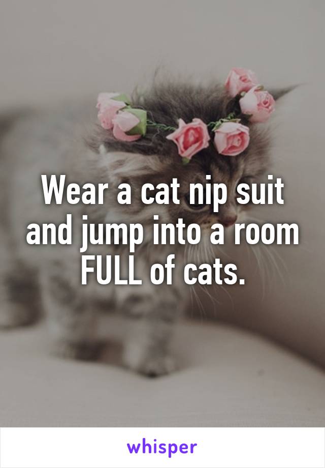 Wear a cat nip suit and jump into a room FULL of cats.