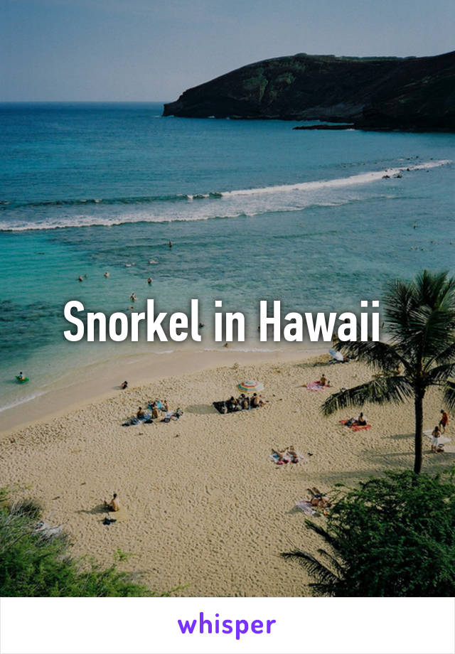 Snorkel in Hawaii 