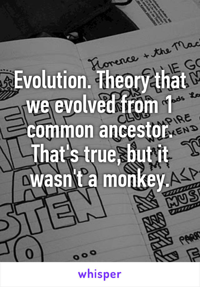 Evolution. Theory that we evolved from 1 common ancestor. That's true, but it wasn't a monkey.
