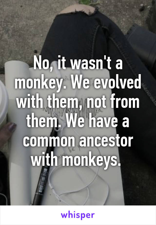 No, it wasn't a monkey. We evolved with them, not from them. We have a common ancestor with monkeys. 