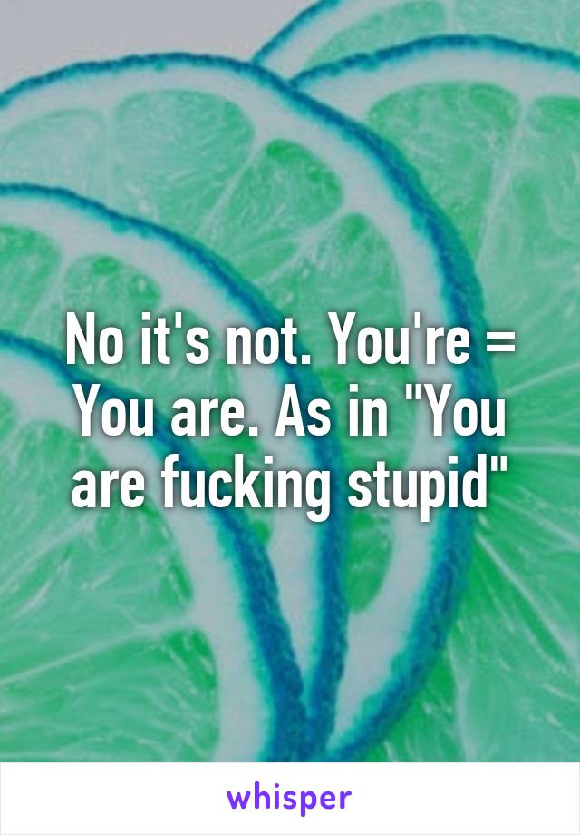 No it's not. You're = You are. As in "You are fucking stupid"