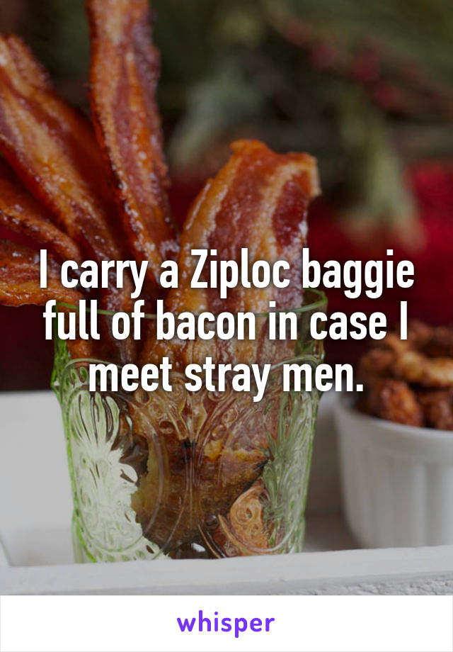 I carry a Ziploc baggie full of bacon in case I meet stray men.