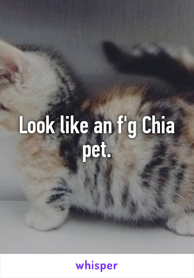 Look like an f'g Chia pet.