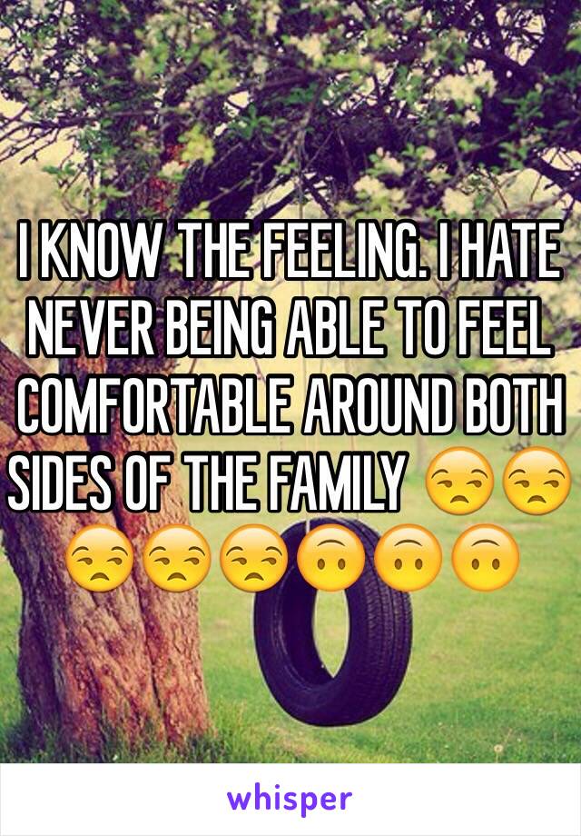 I KNOW THE FEELING. I HATE NEVER BEING ABLE TO FEEL COMFORTABLE AROUND BOTH SIDES OF THE FAMILY 😒😒😒😒😒🙃🙃🙃