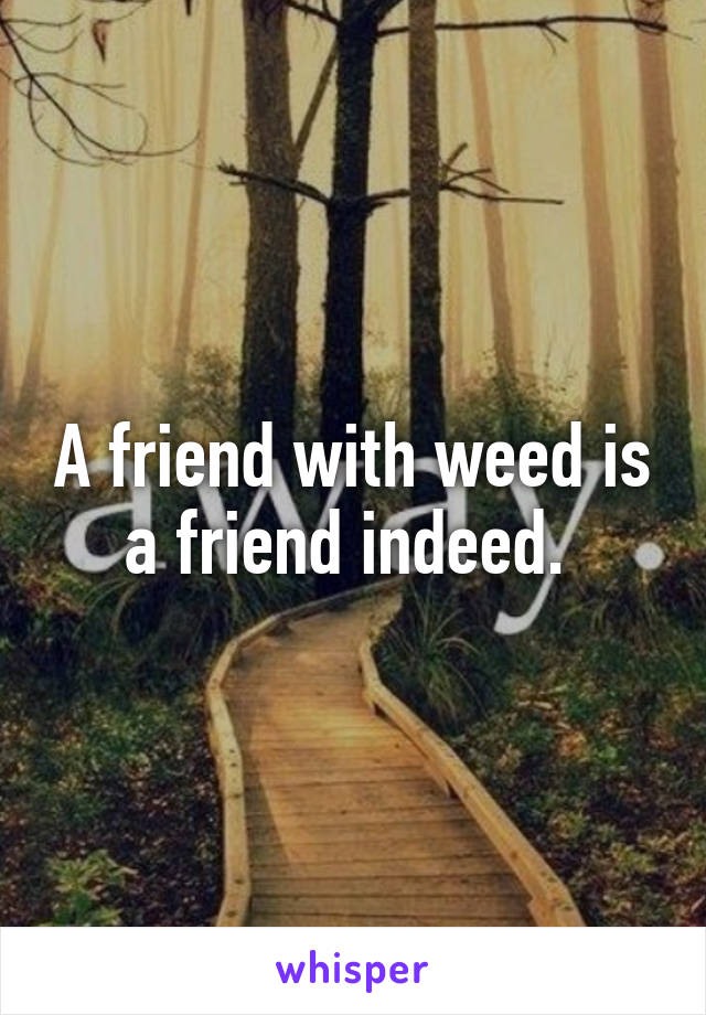 A friend with weed is a friend indeed. 