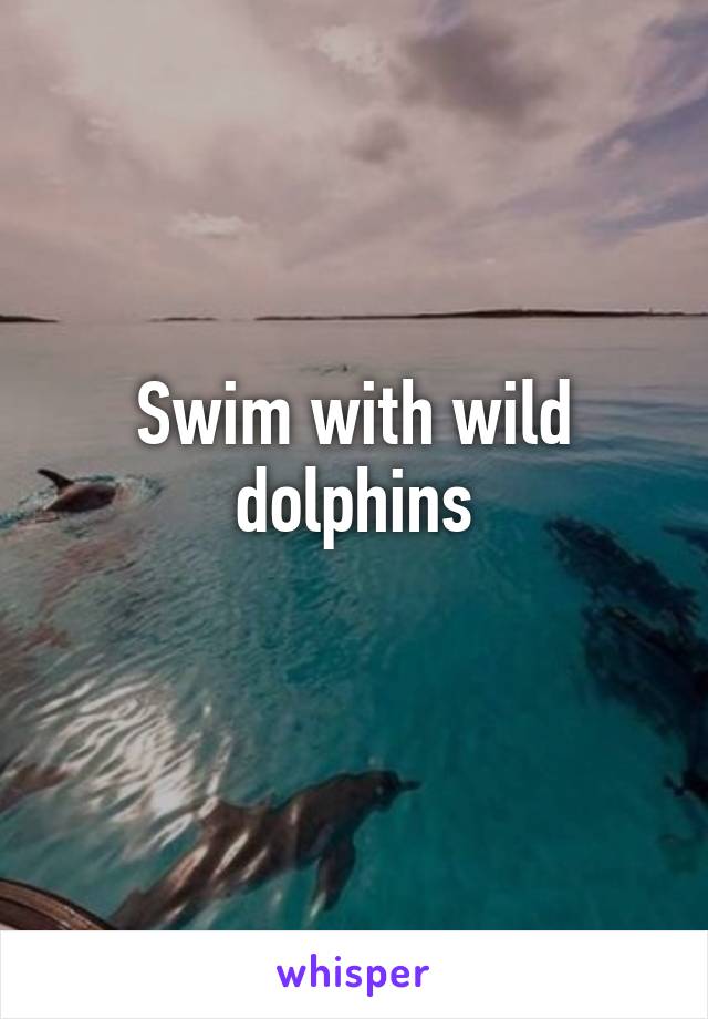 Swim with wild dolphins
