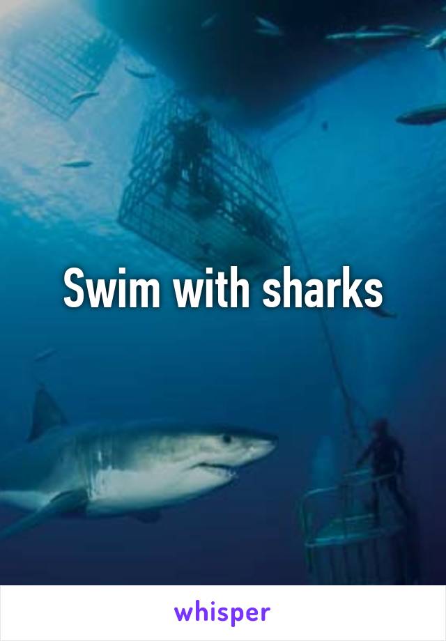 Swim with sharks
