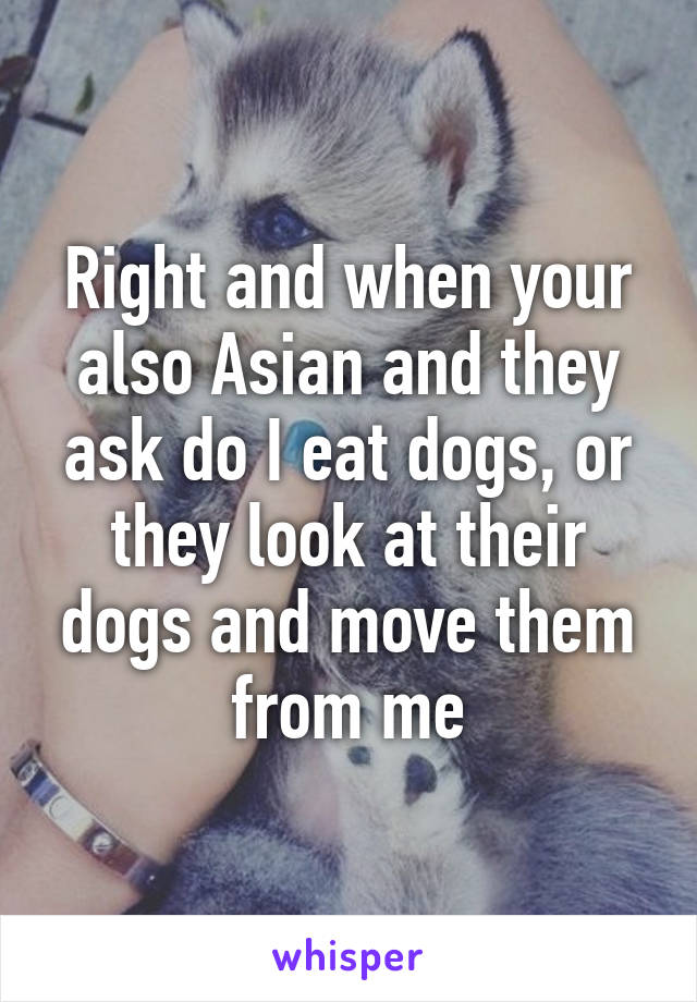 Right and when your also Asian and they ask do I eat dogs, or they look at their dogs and move them from me