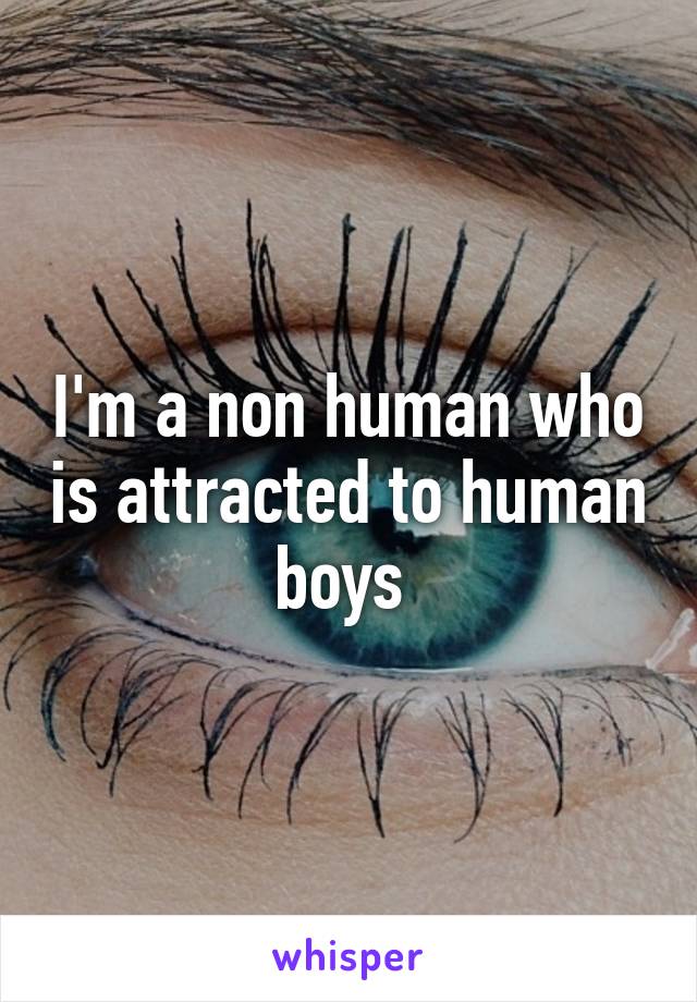 I'm a non human who is attracted to human boys 