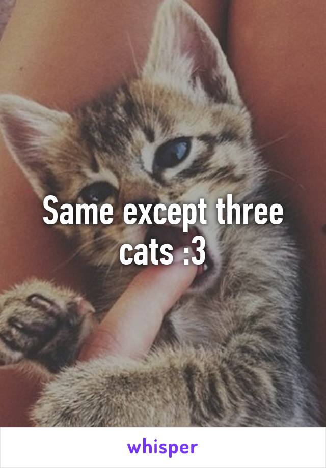 Same except three cats :3