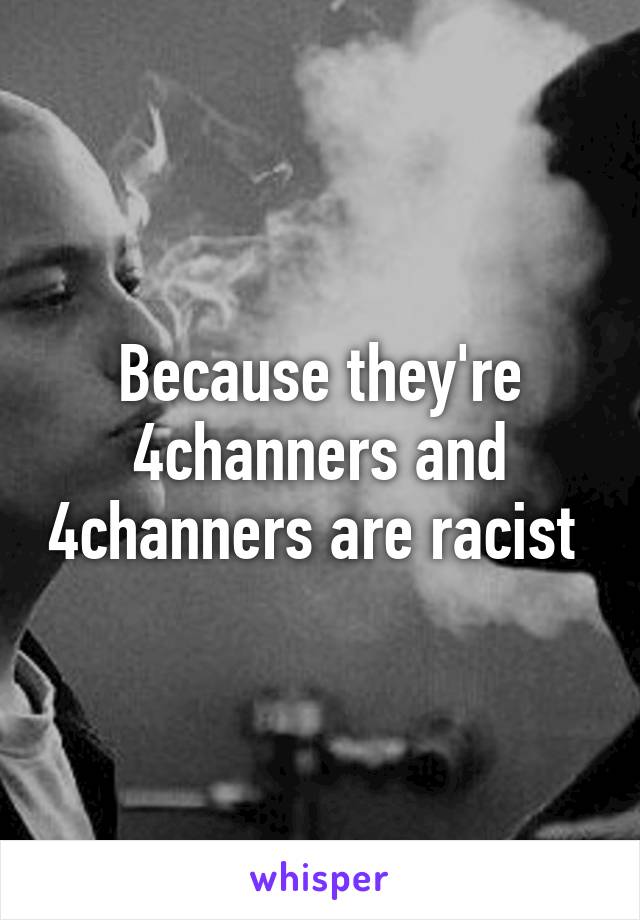 Because they're 4channers and 4channers are racist 