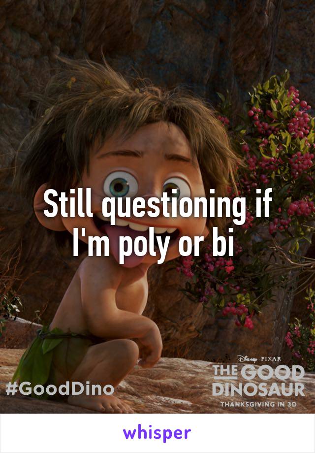 Still questioning if I'm poly or bi 