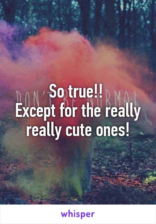 So true!! 
Except for the really really cute ones!