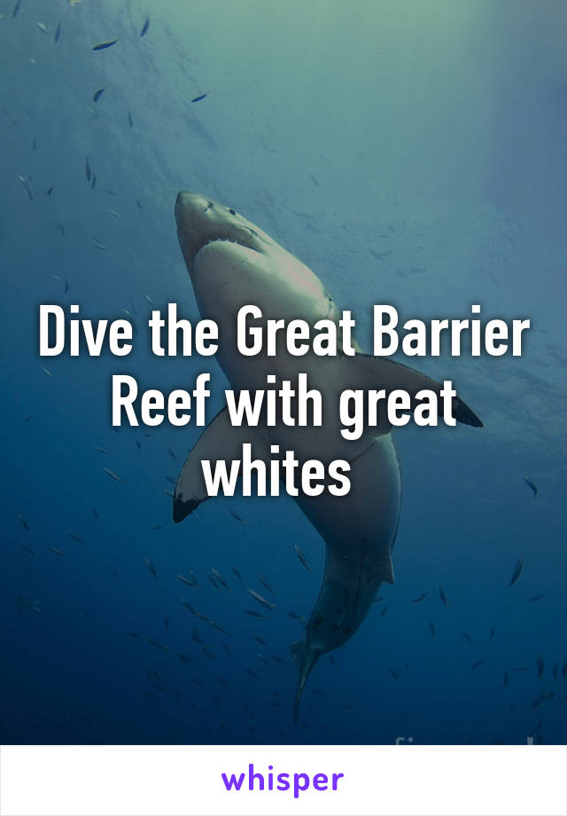 Dive the Great Barrier Reef with great whites 
