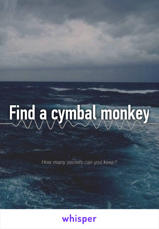 Find a cymbal monkey