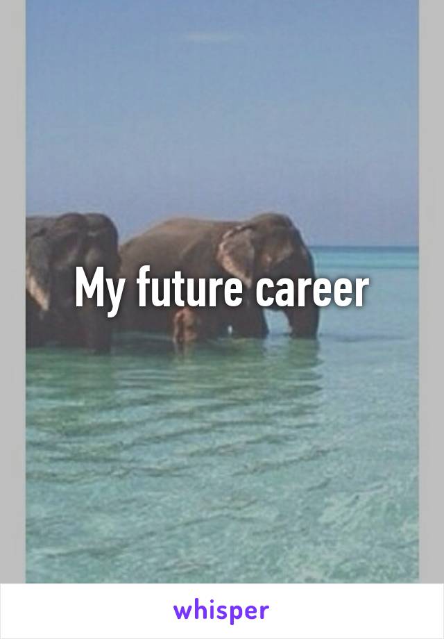 My future career
