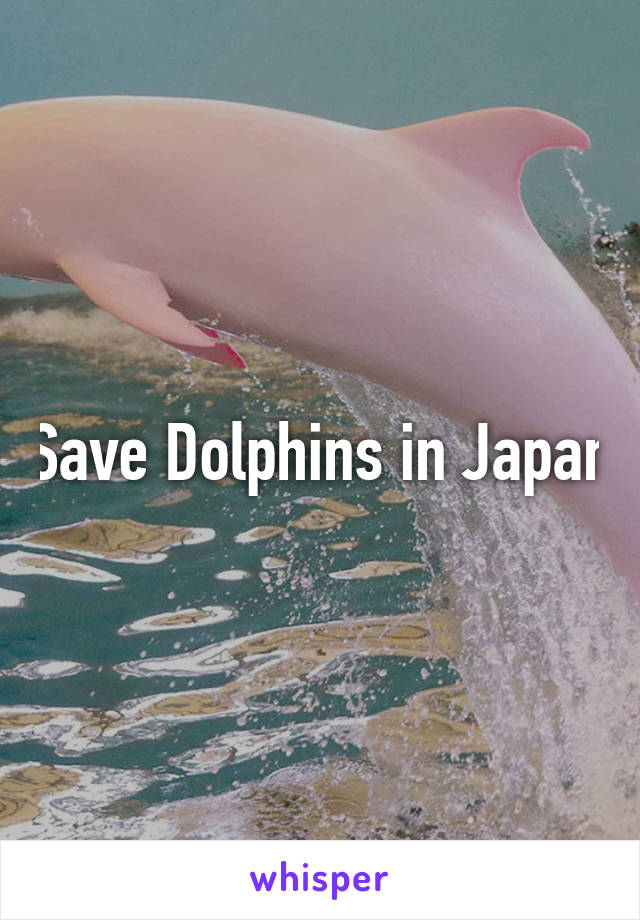Save Dolphins in Japan