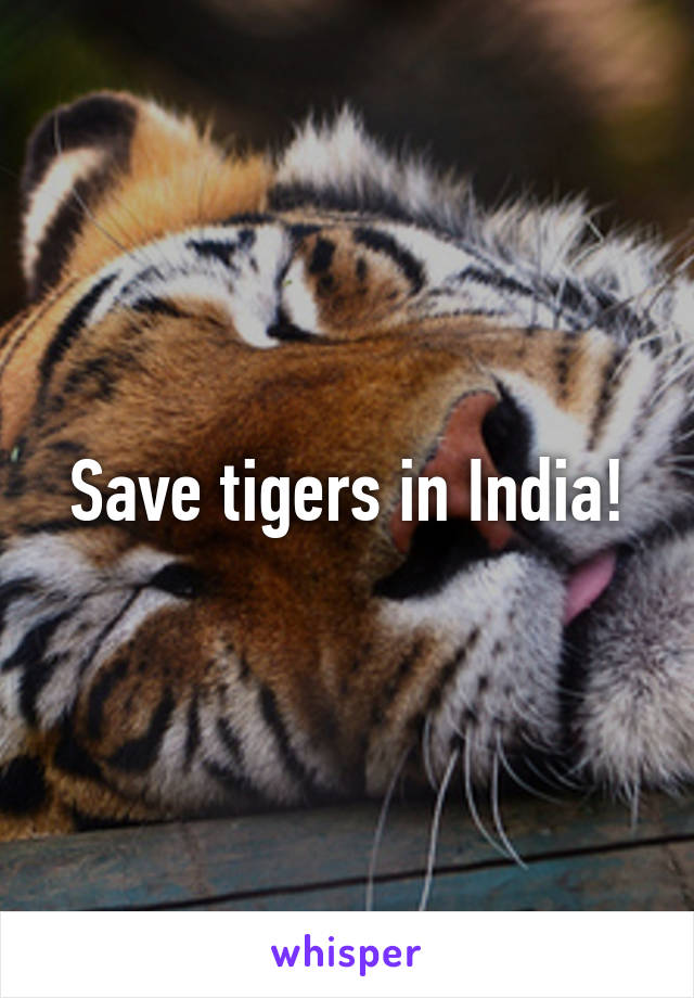 Save tigers in India!