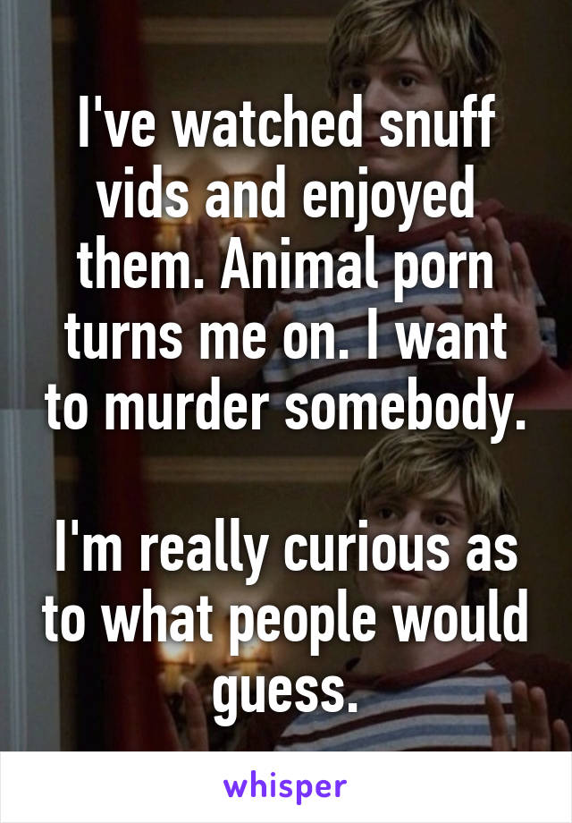 I've watched snuff vids and enjoyed them. Animal porn turns me on. I want to murder somebody.

I'm really curious as to what people would guess.