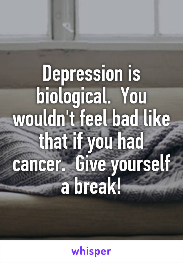 Depression is biological.  You wouldn't feel bad like that if you had cancer.  Give yourself a break!