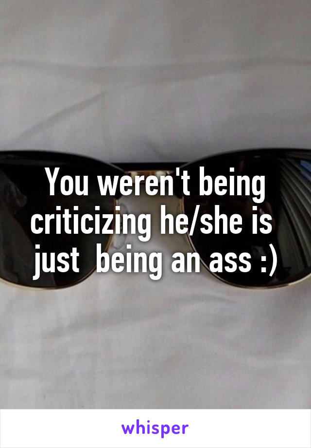 You weren't being criticizing he/she is  just  being an ass :)