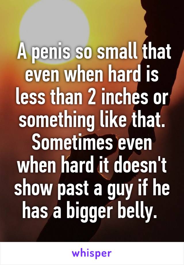  A penis so small that even when hard is less than 2 inches or something like that. Sometimes even when hard it doesn't show past a guy if he has a bigger belly. 