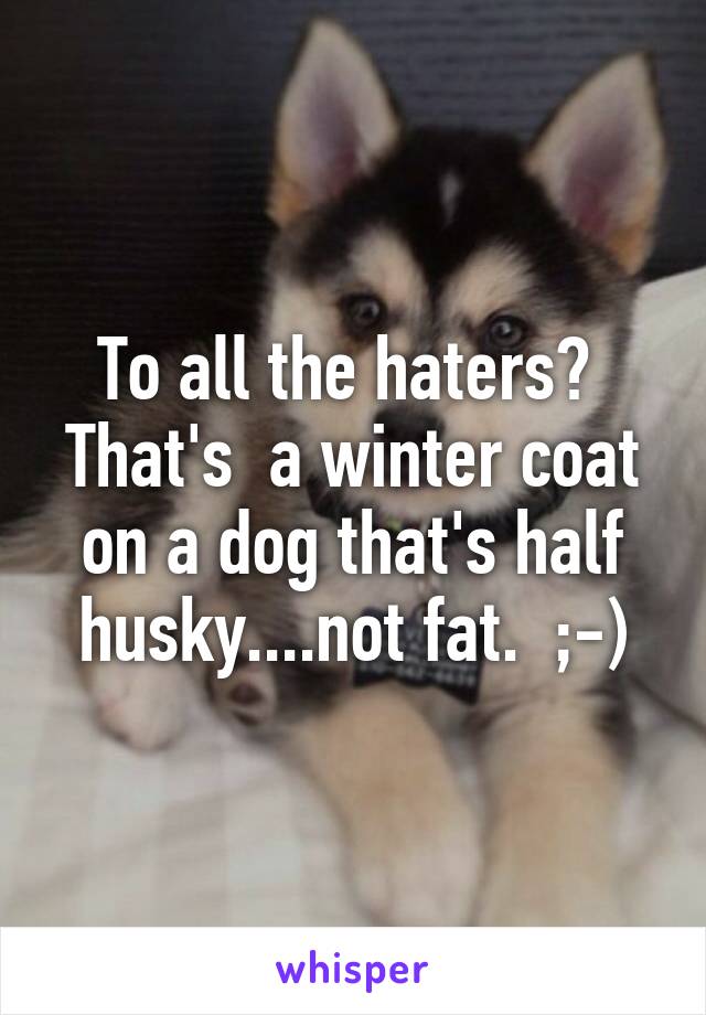 To all the haters?  That's  a winter coat on a dog that's half husky....not fat.  ;-)