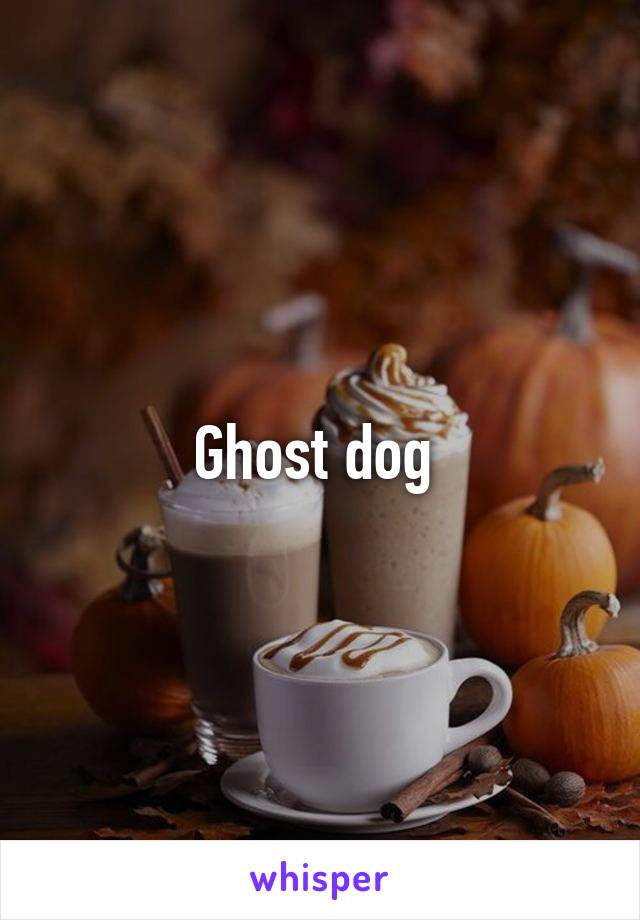 Ghost dog 